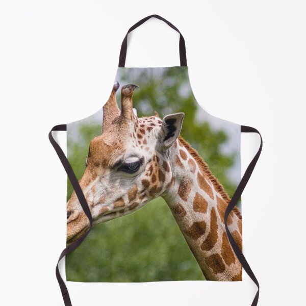 Item preview, Giraffe at Chester Zoo designed and sold by petewelsby.