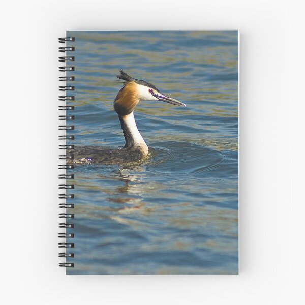Item preview, Great Crested Grebe designed and sold by petewelsby.