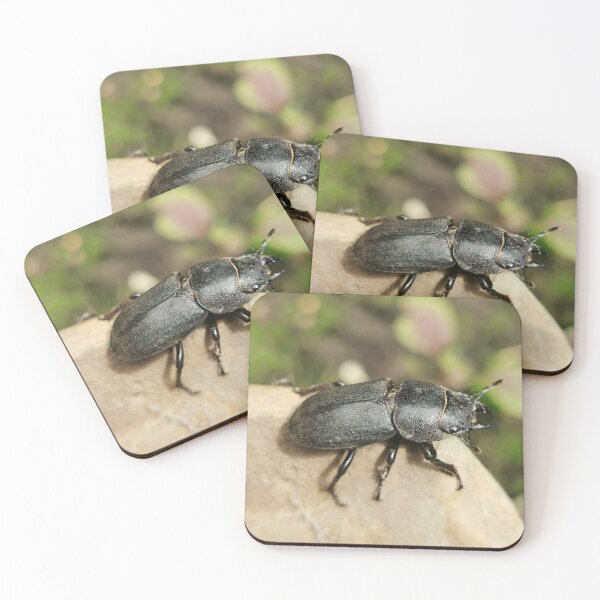 Item preview, Little bug designed and sold by Linnys-Designs.