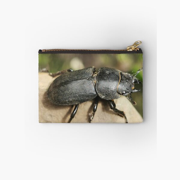 Artikelvorschau, Little Bug entworfen und verkauft von Linnys-Designs.