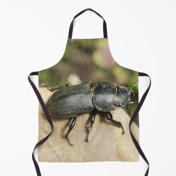 Item preview, Little bug designed and sold by Linnys-Designs.