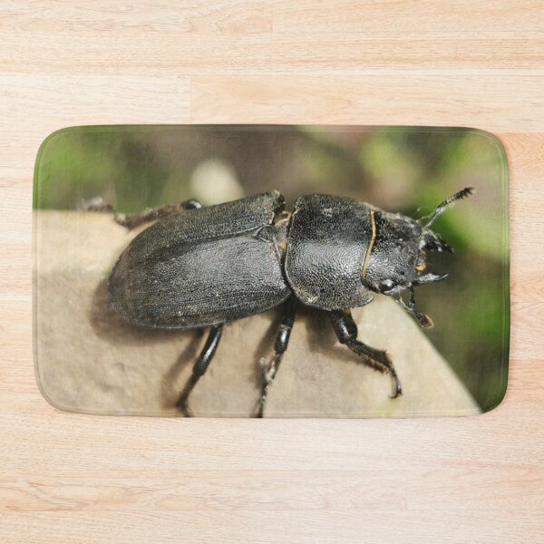 Artikelvorschau, Little Bug entworfen und verkauft von Linnys-Designs.