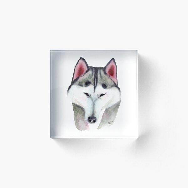 Alaskan Malamute Acrylic Block