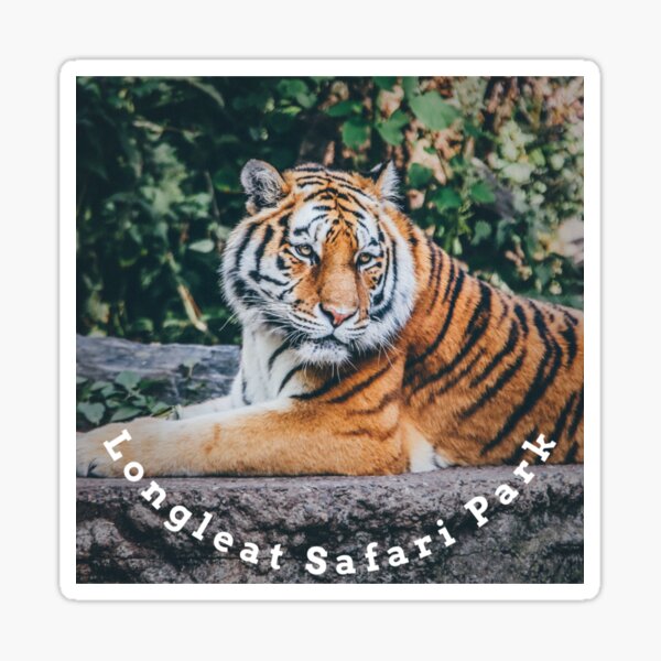 Zoo Life Stickers Redbubble - turlare tigers roblox