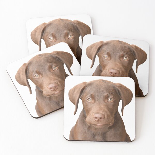 Item preview, Chocolate Labrador Puppy 5 designed and sold by quentinjlang.