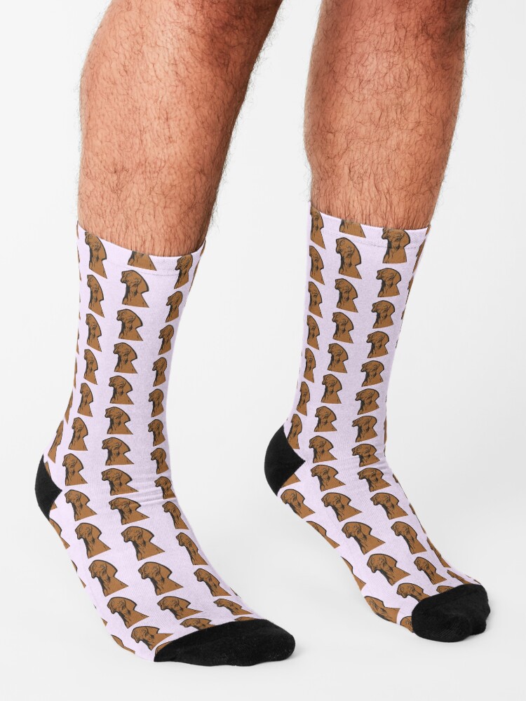"Hungarian Vizsla Pointer Puppy" Socks by kristapss Redbubble