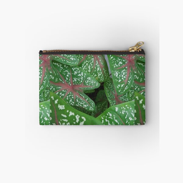 Item preview, Beautiful green plant designed and sold by Yeewen1234.