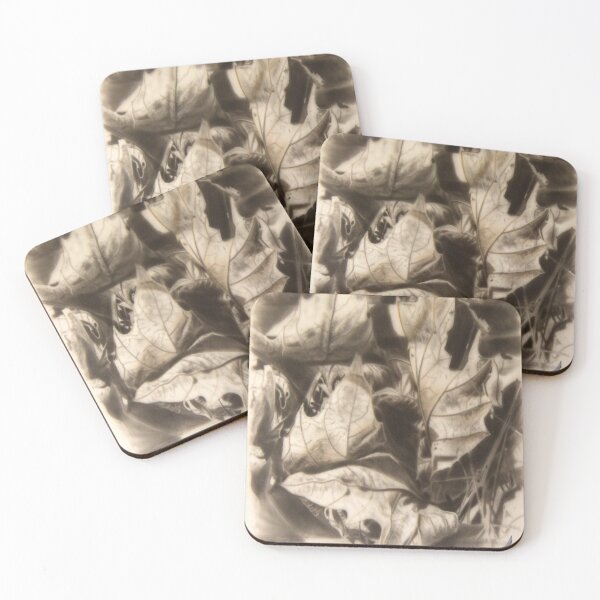 Item preview, autunno designed and sold by anata77.