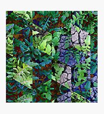 Super Nature No.1 Photographic Print