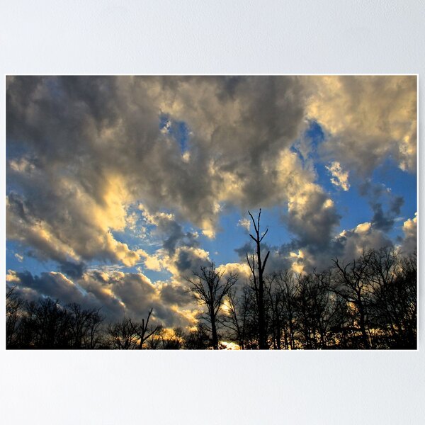 Item preview, Evening Clouds  designed and sold by NatureGreeting Cards ©ccwri.