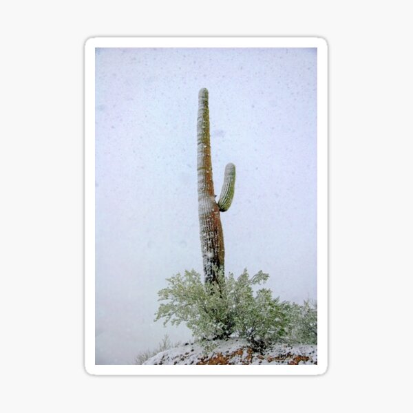 Arizona Snow Storm Sticker