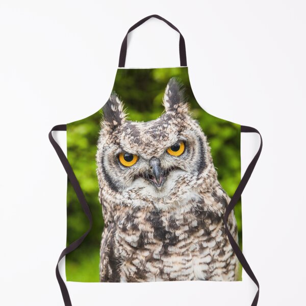 Item preview, African Spotted Eagle Owl designed and sold by Dalyndigital Photography.