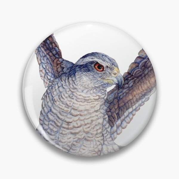 Item preview, Volleyball Hawk #7 - Northern Goshawk  designed and sold by R.A.  Faller.