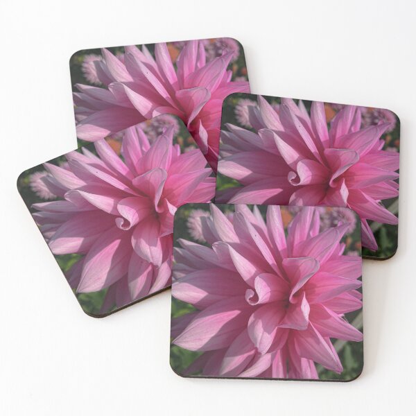Item preview, Anemone Flowered Semi-Cactus Dahlia with Pink Petals 061 designed and sold by Bees-n-Flowers.