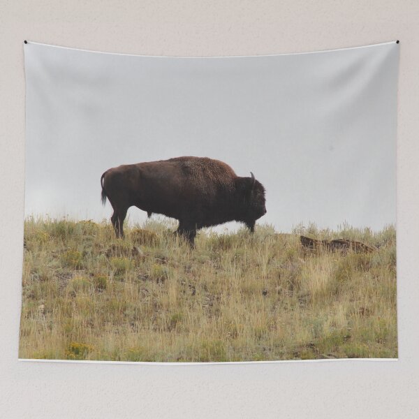 Item preview, Lone Bison in Lamar Valley Yellowstone designed and sold by jrichard99.