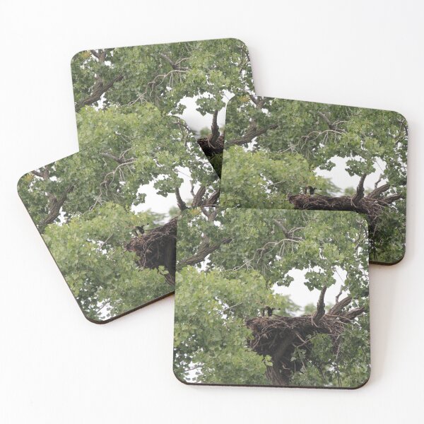 Item preview, Can you see my legs Eagles Nest designed and sold by Susie Kramer.