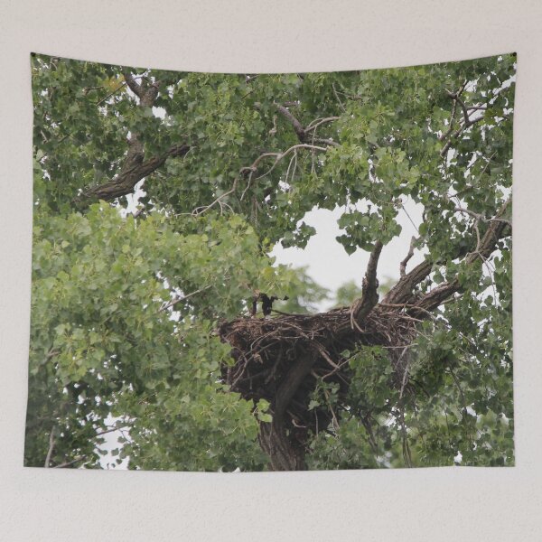 Item preview, Can you see my legs Eagles Nest designed and sold by Susie Kramer.