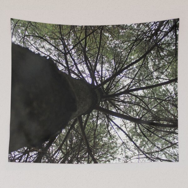Item preview, A Different View of a Pine Tree designed and sold by Susie Kramer.