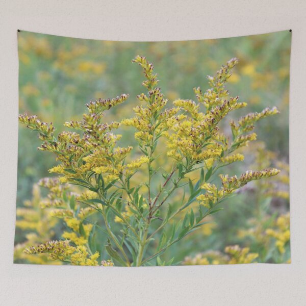 Item preview, Goldenrod Up Close designed and sold by Susie Kramer.