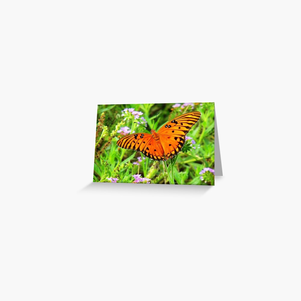 Orange Butterfly Windows From Heaven Greeting Card