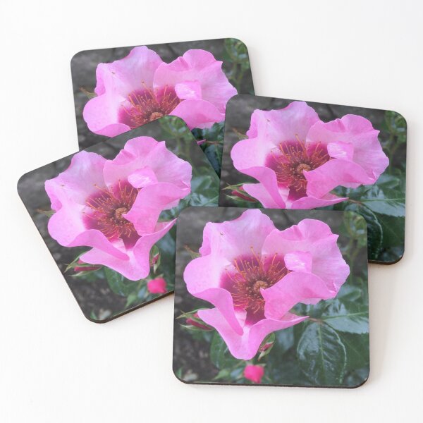 Item preview, Floral Delight  “The Bold Flower” designed and sold by Angela Haig-Harrison.
