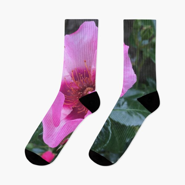 Item preview, Floral Delight  “The Bold Flower” designed and sold by Angela Haig-Harrison.