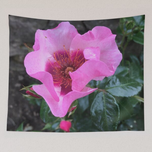Item preview, Floral Delight  “The Bold Flower” designed and sold by Angela Haig-Harrison.
