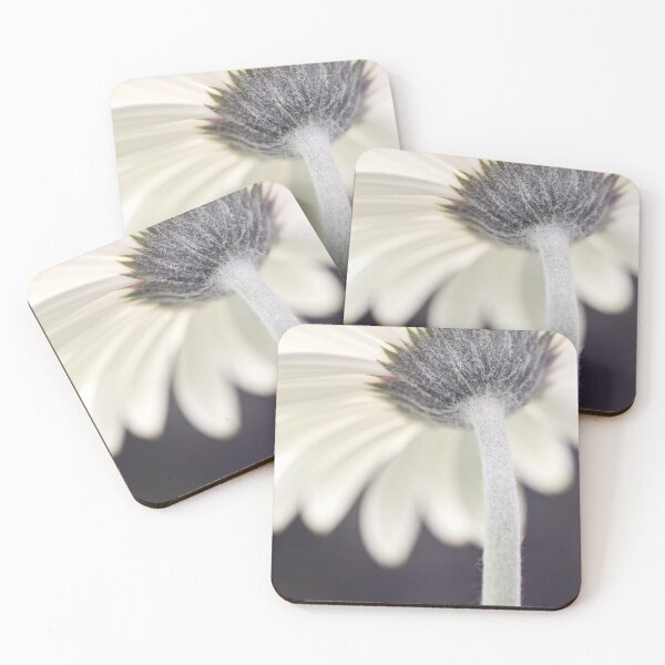 Item preview, Gerbera's back designed and sold by Cristina Rossi.
