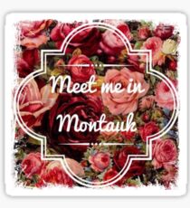 Eternal Sunshine - Meet Me In Montauk Sticker