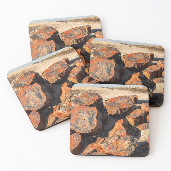 Item preview, USA. Arizona. Petrified Forest National Park. designed and sold by vadim19.