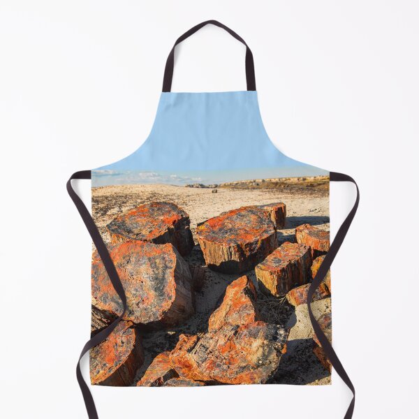 Item preview, USA. Arizona. Petrified Forest National Park. designed and sold by vadim19.