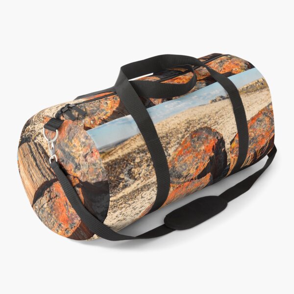 Item preview, USA. Arizona. Petrified Forest National Park. designed and sold by vadim19.