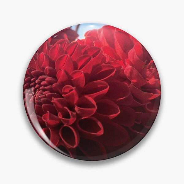 Item preview, Red Ball Dahlias Tesselaar Blossoming in the Garden 063 designed and sold by Bees-n-Flowers.