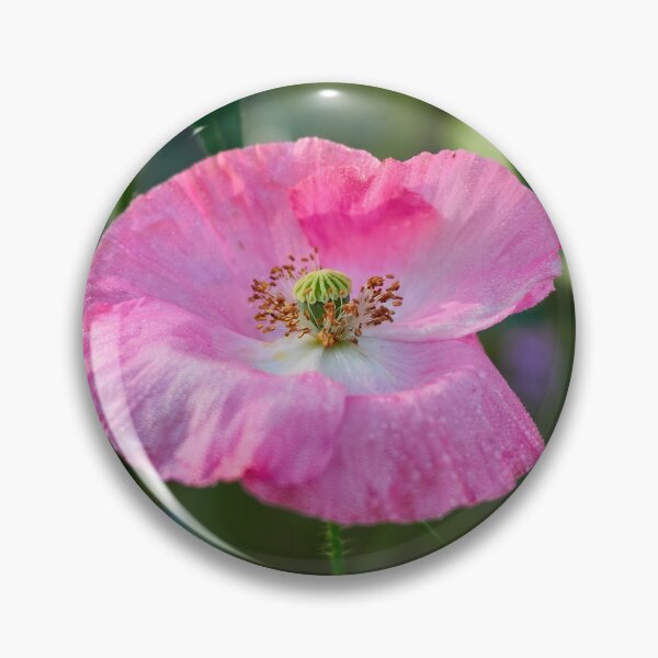 Item preview, The pink kiss on the field 10 designed and sold by Jouko Lehto Photography.