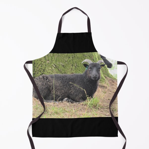 Item preview, Hebridean Sheep at Croft Castle designed and sold by GoNatureDesigns.