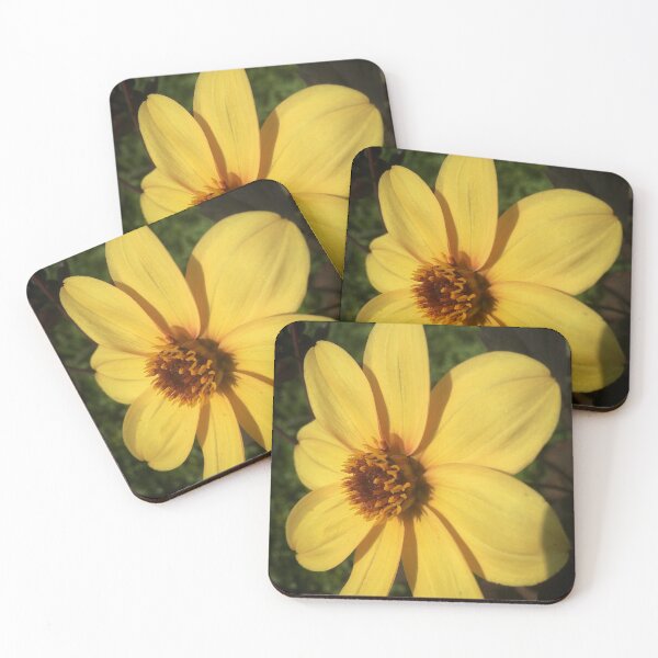 Item preview, Dahlia Happy Single Party Flower. Cheerful Bright Yellow Petals 065 designed and sold by Bees-n-Flowers.