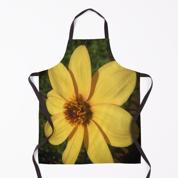 Item preview, Dahlia Happy Single Party Flower. Cheerful Bright Yellow Petals 065 designed and sold by Bees-n-Flowers.