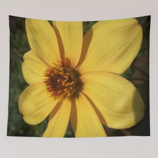 Item preview, Dahlia Happy Single Party Flower. Cheerful Bright Yellow Petals 065 designed and sold by Bees-n-Flowers.