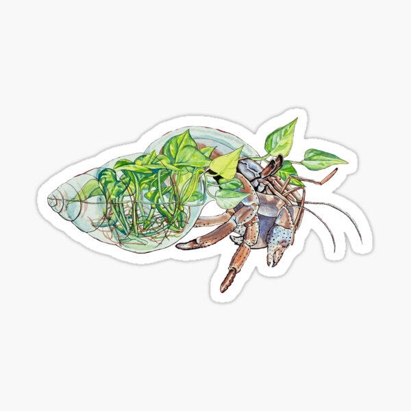 Hermit Crab Terrarium Sticker