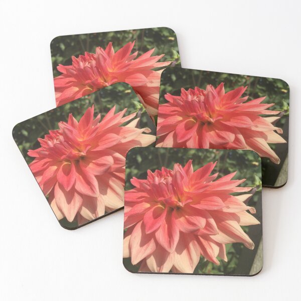 Item preview, Huge, Big and Beautiful Pinky Orange Dinnerplate Dahlia Flower 066 designed and sold by Bees-n-Flowers.