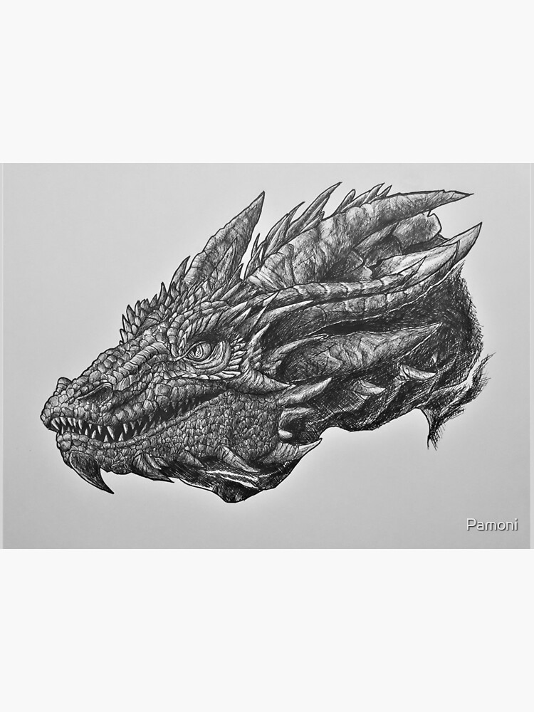 Smaug, Dragons