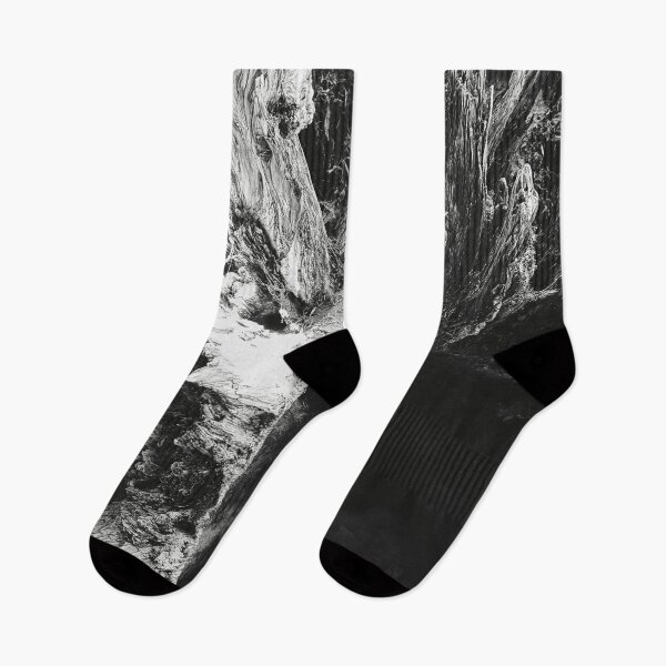 Item preview, Tree Roots Black and White designed and sold by NelBo.