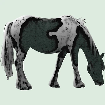 Artwork thumbnail, Little Green Pony  by DesignsofNote