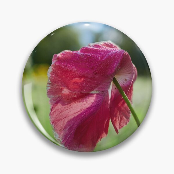 Item preview, Enlarged shallow pink DOF 11 designed and sold by Jouko Lehto Photography.