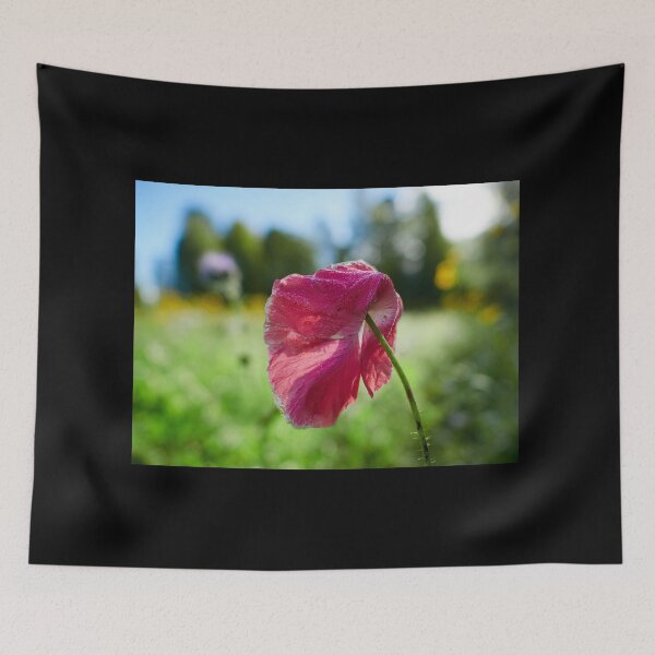 Item preview, Enlarged shallow pink DOF 11 designed and sold by Jouko Lehto Photography.