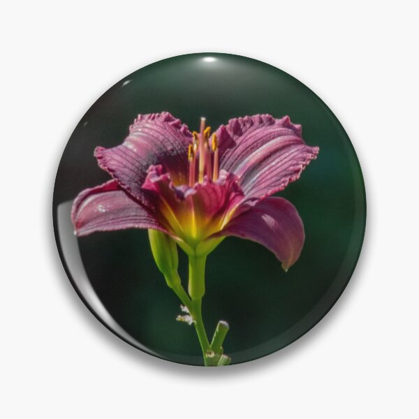 Item preview, Day Lily Portrait designed and sold by Imagery.