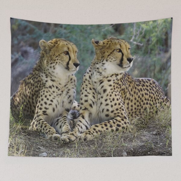 Item preview, Cheetah designed and sold by Pegasus00.