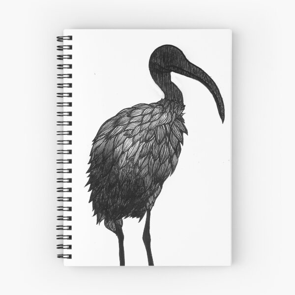 Item preview, Ibis the bin chicken designed and sold by juuannie.