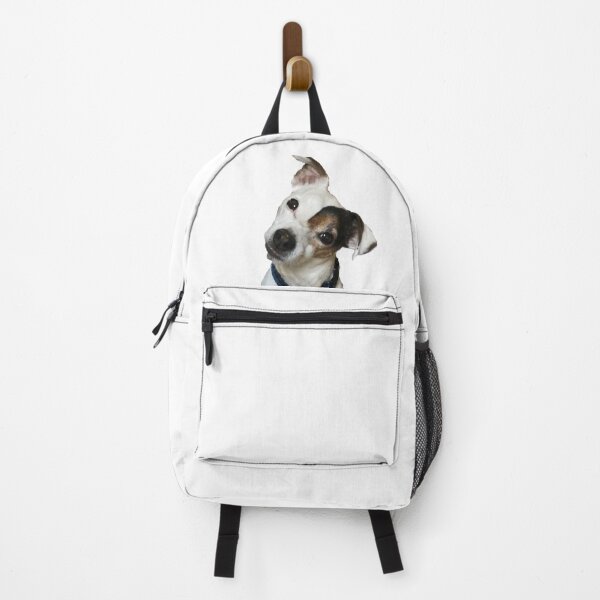 Artikelvorschau, Jack Russell Terrier entworfen und verkauft von C.T. Photography.