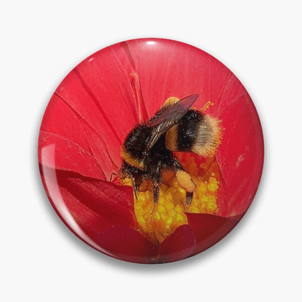 Item preview, Beautiful Red Dahlia Flower with Bumblebee insect gathering pollen 067 designed and sold by Bees-n-Flowers.